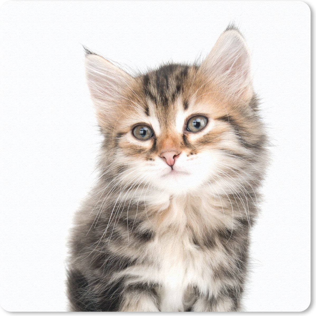 Muismat 20x20 cm - Mousepad Kitten - Wit - Neus - Meisjes - Kinderen - Jongens - Kids - Muismatten