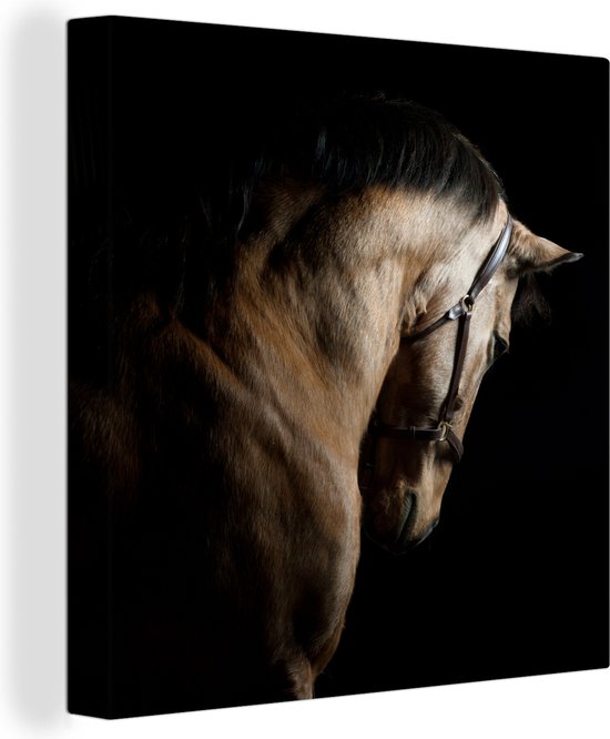 Tableau sur toile Paarden - Halter - Zwart - 90x90 cm - Décoration murale