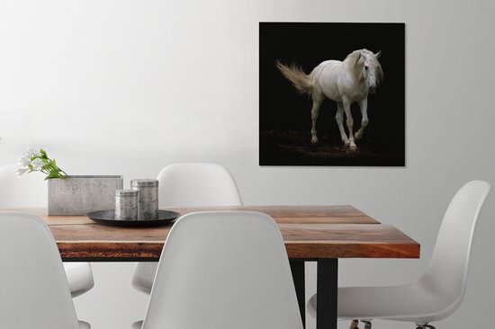 Cheval Wit devant une toile fond noir 2cm 50x50 cm - impression photo sur toile peinture Décoration murale salon / chambre à coucher) / Animaux sauvages Peintures Toile