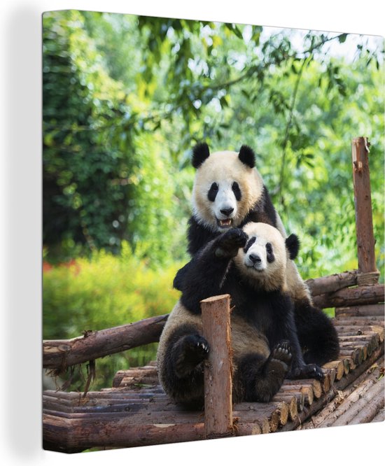Canvas Schilderij Panda - Brug - Natuur - 20x20 cm - Wanddecoratie