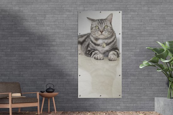 Décoration murale murale extérieure Chat - Grijs - Animal - 80x160 cm