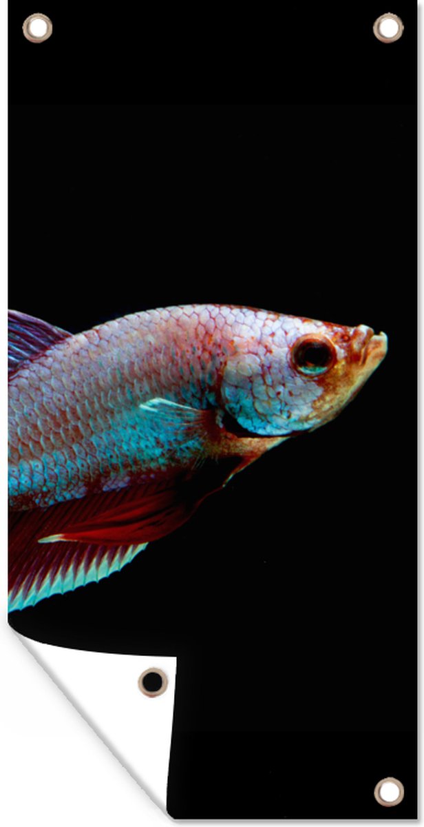 4 Pièces Poissons En Métal Décoration Murale - Ornements Colorés Pour Intérieur Et Extérieur