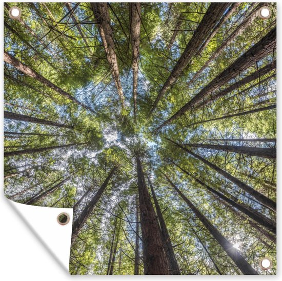 Tuindoek Het Redwoodbos bij Whakarewarewa in Nieuw-Zeeland - 100x100 cm