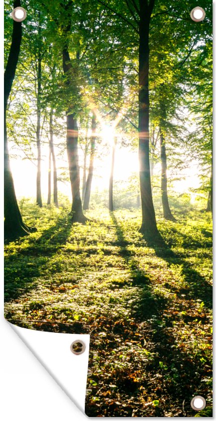 Tuinposter Doorbrekende zon in de bossen van het Nationaal park Söderåsen in Zweden - 40x80 cm - Wanddecoratie Buiten - Tuinposter - Tuindoek - Schuttingposter - Tuinschilderij