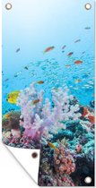 Schuttingposter Kleurrijk rif en koraal - 100x200 cm - Tuindoek