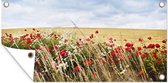 Schuttingposter Wolken - Bloemen - Rood - 200x100 cm - Tuindoek