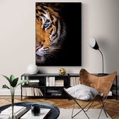 Artistic Lab Poster - Eyes Tiger Plexiglas - 100 X 70 Cm - Multicolor