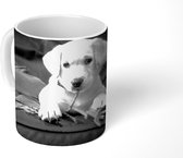 Mok - Labrador puppy met deken - zwart wit - 350 ML - Beker