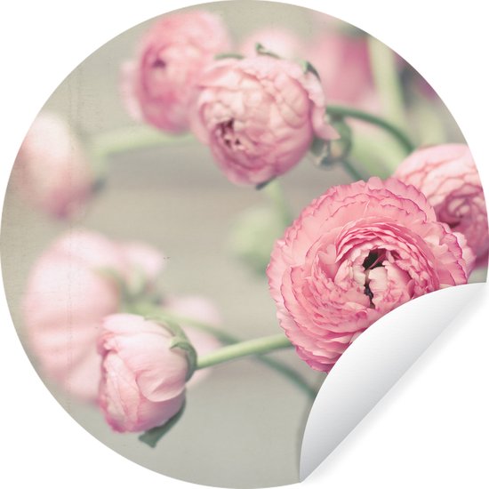 WallCircle - Muurstickers - Behangcirkel - Roze boterbloemen in een glazen vaas - ⌀ 140 cm - Muurcirkel - Zelfklevend - Ronde Behangsticker