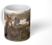 Mok - Drie eekhoorns rond afgehakte boom - 350 ML - Beker - Uitdeelcadeautjes