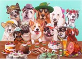 Puzzel 1000 stukjes - 50 bij 70 cm - honden feest prent - Legpuzzel voor volwassenen en kinderen - Familie-activiteit - Kunstwerk Lalaland - Geduld en doorzettingsvermogen - Let op