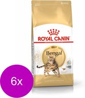 Royal Canin Bengal Adult - Kattenvoer - 6 x 2 kg
