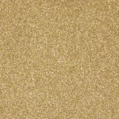 Tonic Studios glitter karton - gold dust 5vel A4 250Gram