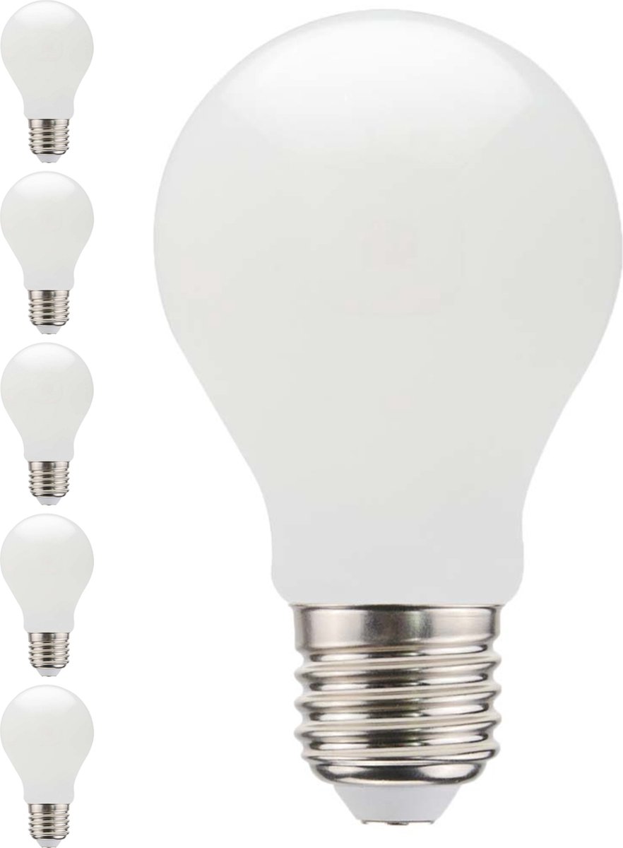 Ampoule LED E27 A60 14W 6000k - Éclairage professionnel