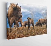 Canvas schilderij -  Productnummer   2912388 - 80*60 Horizontal