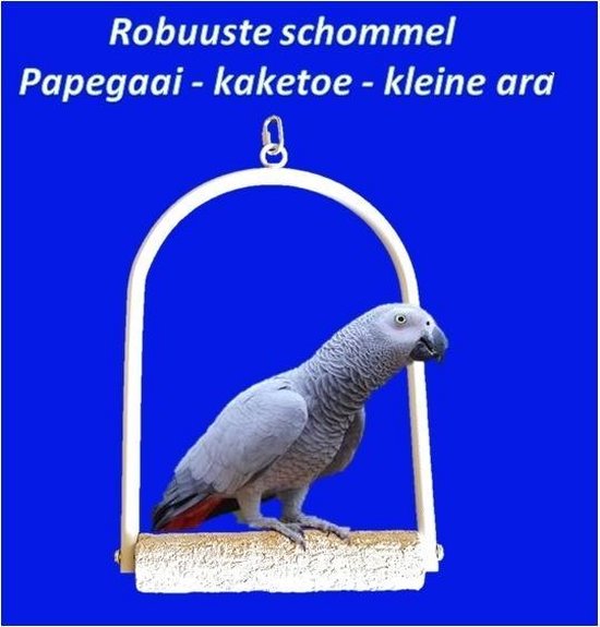 Robuuste vogel met slijtstok voor Papegaaien zoals grijze roodstaart -... | bol.com