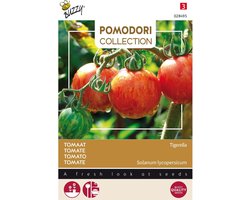 Buzzy  Pomodori Tigerella