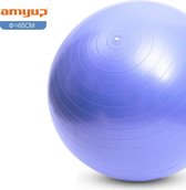 AMYUP AP6401 Fitnessbal 65 cm - Met pomp - Blauw