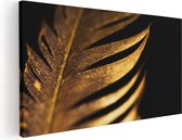 Artaza Canvas Schilderij Gouden Veer  - 100x50 - Groot - Foto Op Canvas - Canvas Print