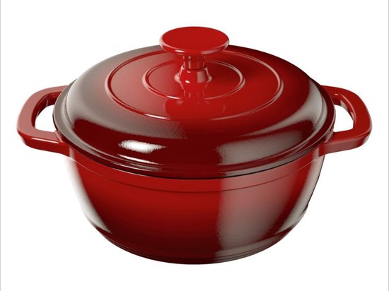 ERNESTO® Gietijzeren braadpan - Inhoud 2.8L - Geschikt voor alle soorten  kookplaten -... | bol.com