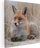 Artaza Canvas Schilderij Vos in de Duinen - 70x70 - Foto Op Canvas - Canvas Print