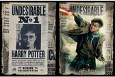 Puzzel Harry Potter Wanted (500 pcs)
