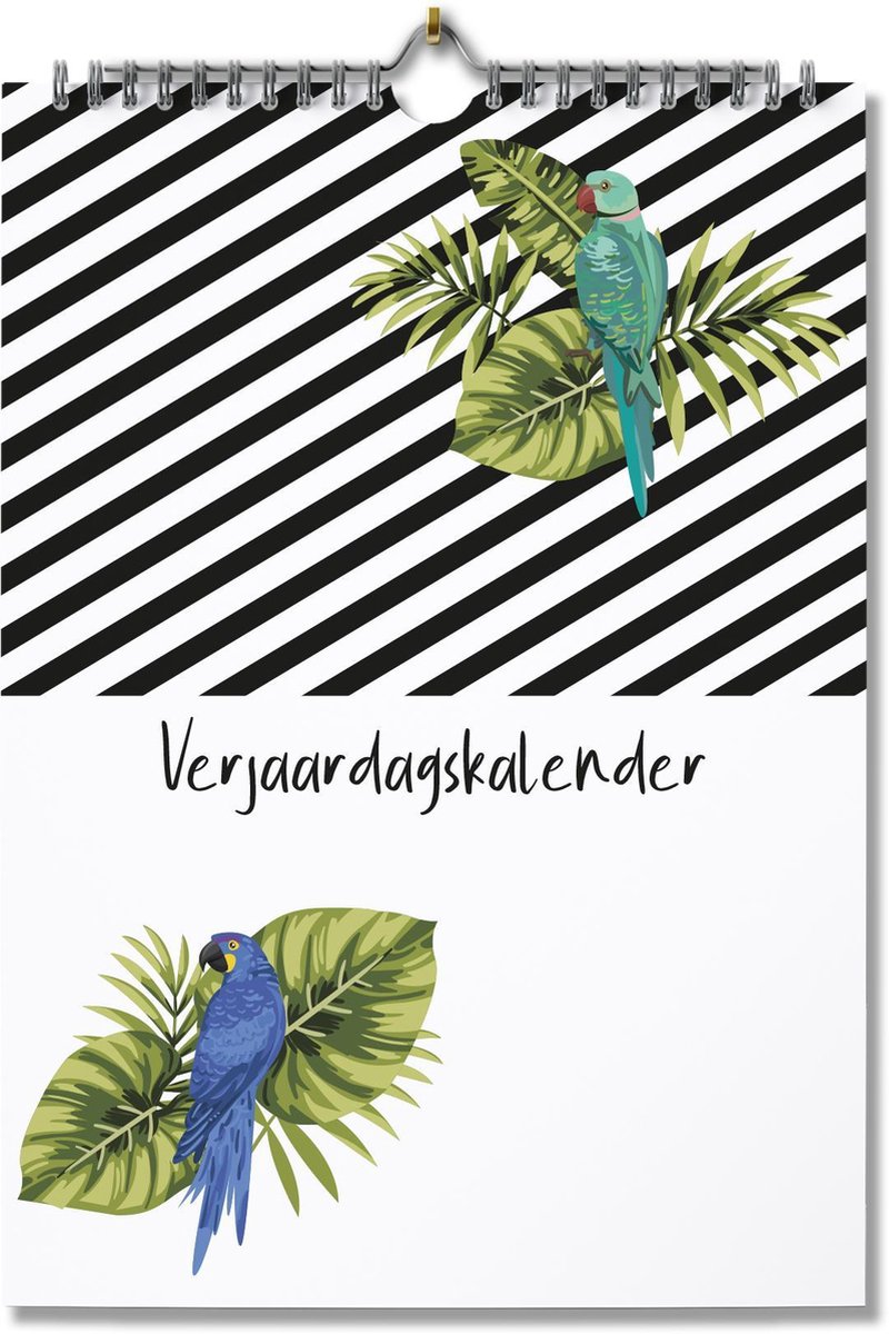 Editoo Parrots and Stripes - Verjaardagskalender - A4 - 13 pagina's