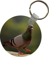Sleutelhanger - Duif - Vogel - Dieren - Plastic - Rond - Uitdeelcadeautjes