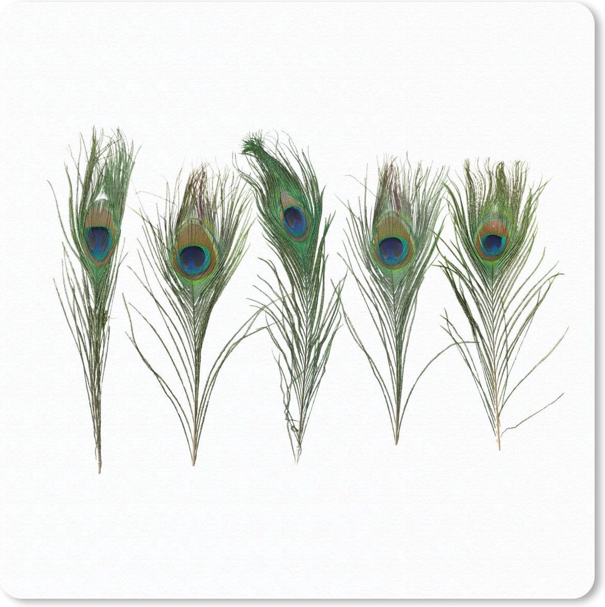 Muismat 20x20 cm - Mousepad Pauwenveren - Wit - Groen - Muismatten