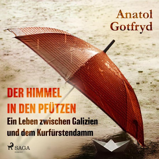 Der Himmel in den Pfützen - Ein Leben zwischen Galizien und ... - cover