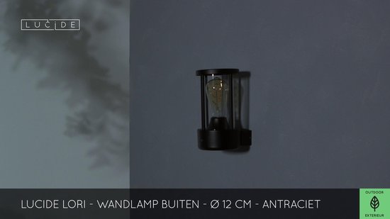 Lucide LORI Wandlamp Buiten - Ø 12 cm - 1xE27 - IP44 - Antraciet | bol.com