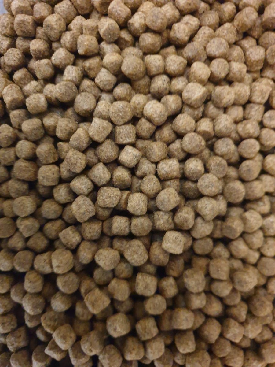 Pond pellet 6mm 1kg