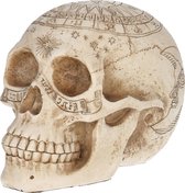 Nemesis Now - Astrological Skull - Engraved Skull With The Zodiac Circle 20cm