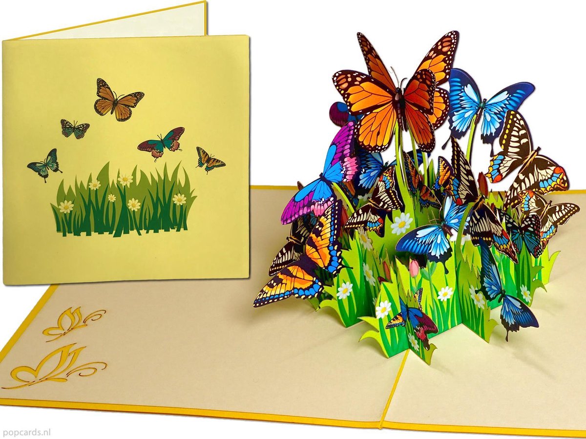 Popcards – Kleurrijke Vlinders 3D wenskaart