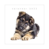 Hobbit jaarkalender honden 2022 - vierkant formaat - maand - honden