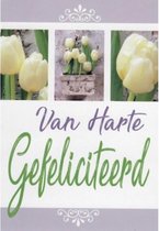 Van harte gefeliciteerd! Een bijzondere wenskaart met diverse afbeeldingen van mooie tulpen. Een dubbele wenskaart inclusief envelop en in folie verpakt.