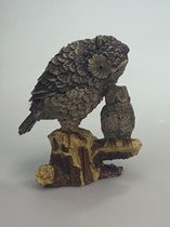 Uil met uil-kuiken