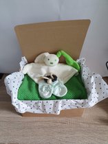 Giftbox groen | Kraamcadeau groen | Gratis en snel verzonden
