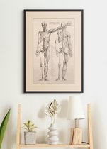Poster In Zwarte Lijst - Vintage Anatomie - 70x50 cm - Hart, Spieren, Organen en Skelet
