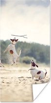 Poster Hond - Tak - Zand - 40x80 cm