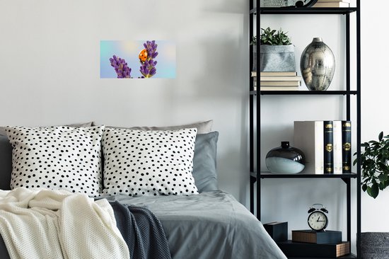 Affiche Coccinelle sur fleur de lavande - 40x20 cm