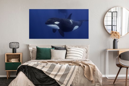 Affiche Deux orques dans l'eau claire - 160x80 cm