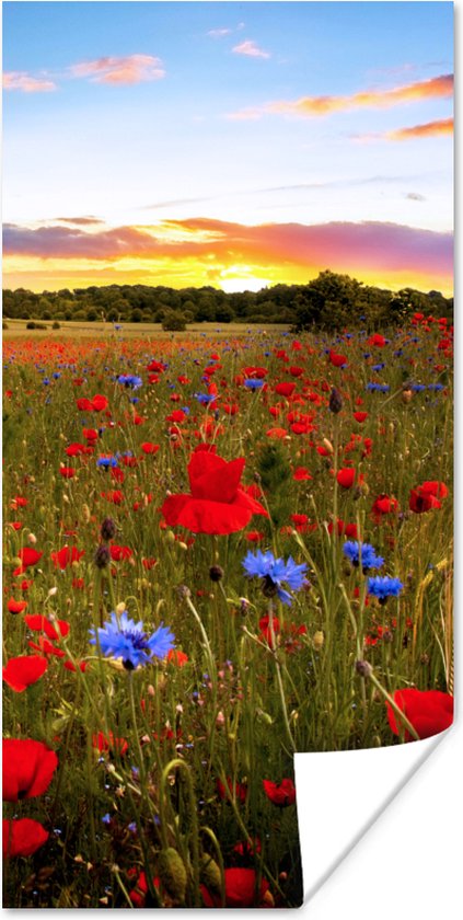 Affiche Prairie de Fleurs - Coquelicots - Rouge - 80x160 cm