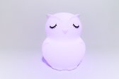 SmileGlobal Groot formaat 8 kleurige siliconen nachtlamp - Uil - accu - oplaadbaar - nachtlamp Sinterklaas cadeautjes / Kerstcadeautjes