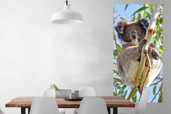 Poster Koala - Ciel - Branches - Enfants - Garçons - Meiden - 80x160 cm