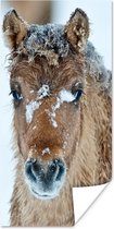 Poster Jong fjord paard bedekt met sneeuw - 80x160 cm