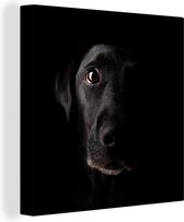 Canvas Schilderij Een zwarte Labrador Retriever op een zwarte achtergrond - 90x90 cm - Wanddecoratie