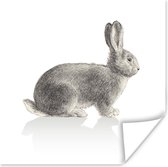 Illustration de lapin sur papier affiche fond blanc