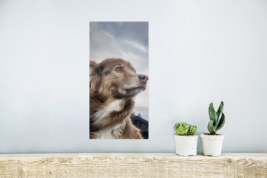 Affiche Chien qui regarde fixement - 20x40 cm