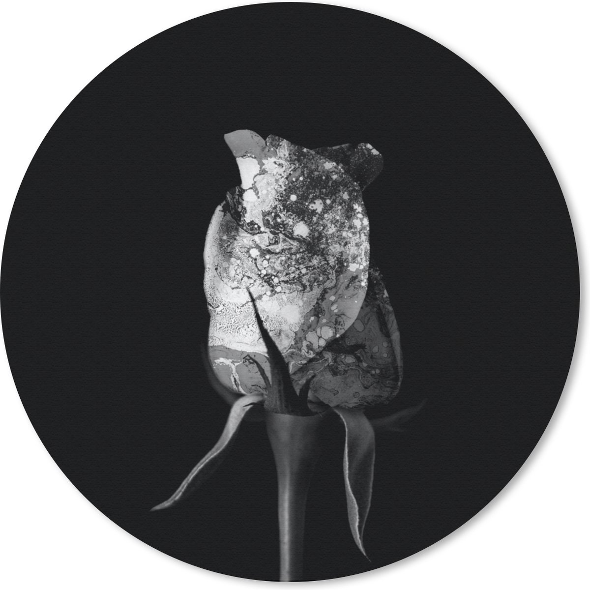 Muismat rond 20x20 cm - Mousepad Rozen - Bloemen - Verf - Zwart - Wit - Ronde muismatten